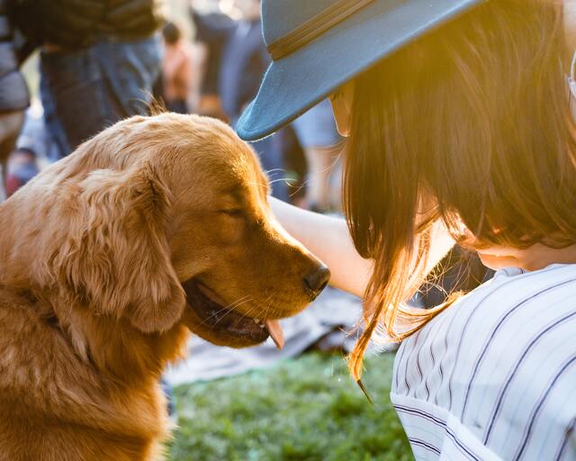 Servicios y Productos para Mascotas